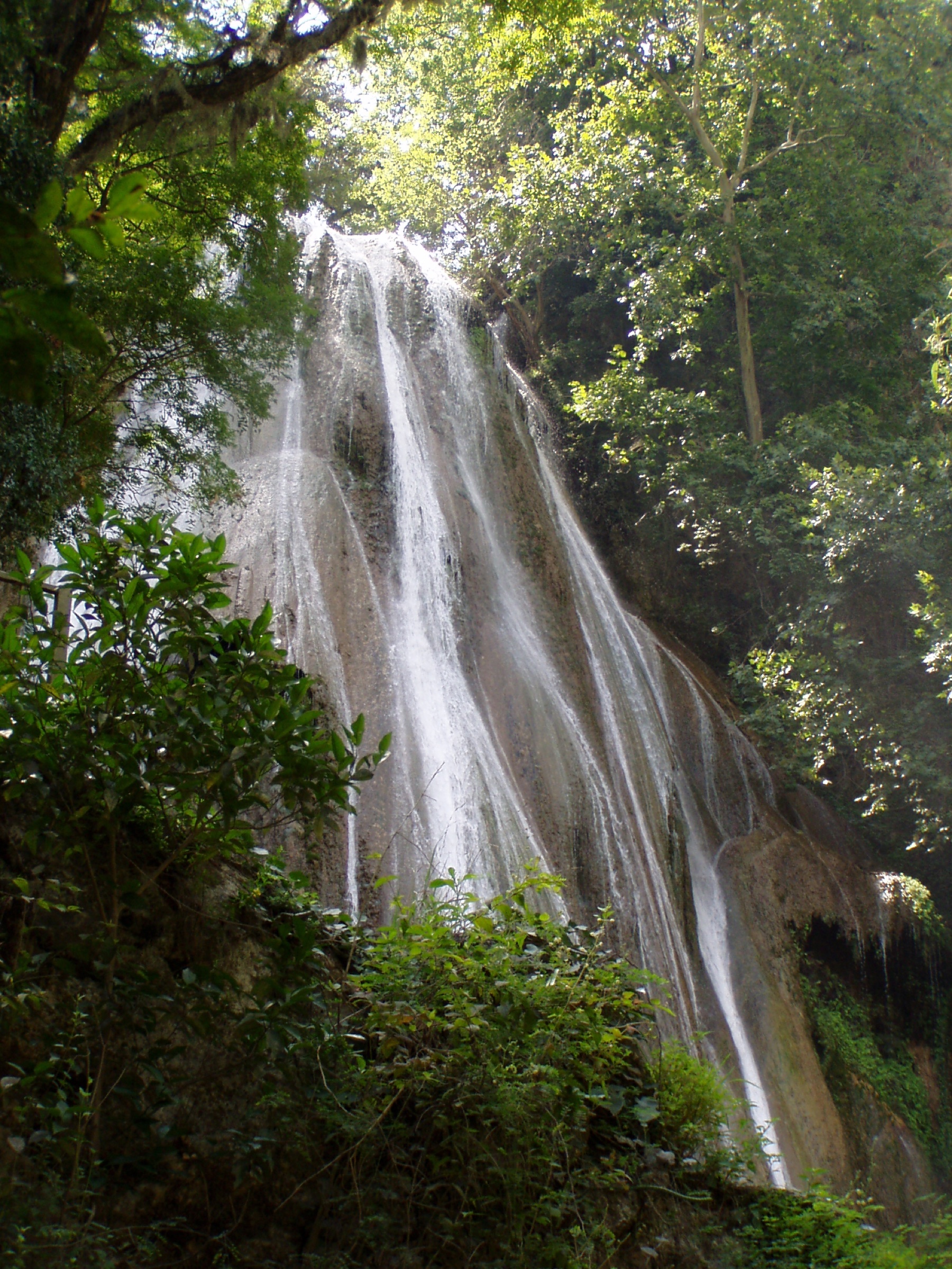 The Cola de Caballo waterfall cascading through ferns and forest